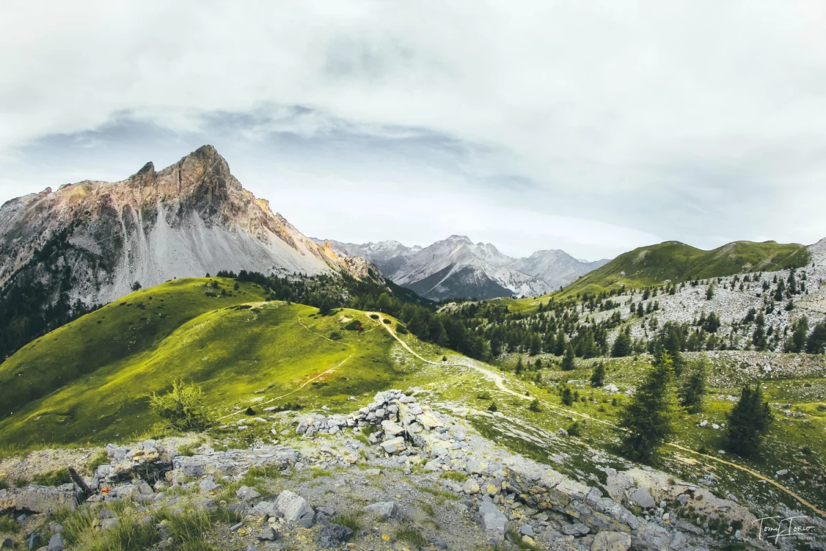 Doradztwo ochrony środowiska: jak audyt i optymalizacja zużycia energii obniżą koszty, zmniejszą ryzyko kar i poprawią wizerunek firmy