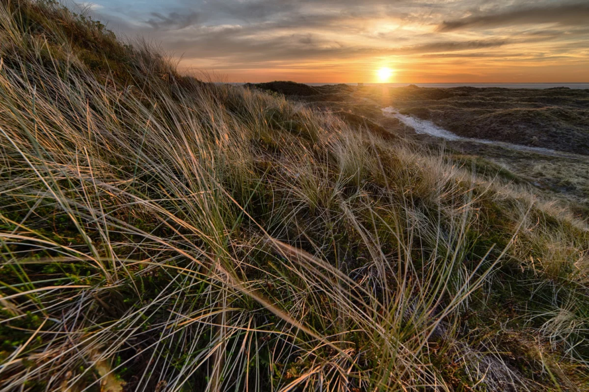 Kardiologia - krótko i na temat