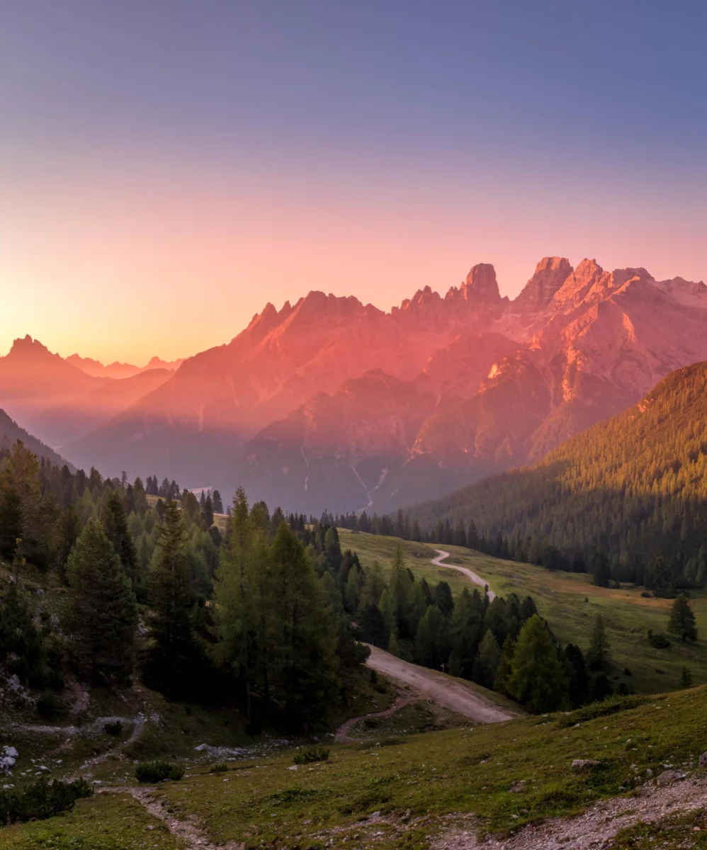 Teraz I Ty Też Możesz kupić elektronikę Nawet Jeśli Nie Masz O Tym Zielonego Pojęcia