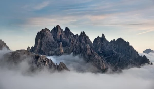 robić imprezę Profesjonalnie!